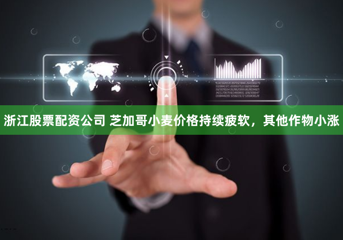 浙江股票配资公司 芝加哥小麦价格持续疲软，其他作物小涨